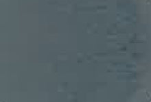 Load image into Gallery viewer, AREXONS VERNIFER Gel Paint with Antirust 750ml