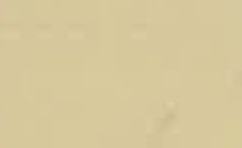 Load image into Gallery viewer, AREXONS VERNIFER Gel Paint with Antirust 750ml