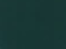 Load image into Gallery viewer, AREXONS VERNIFER Gel Paint with Antirust 750ml