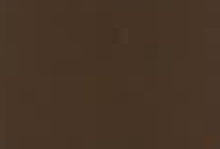 Load image into Gallery viewer, AREXONS VERNIFER Gel Paint with Antirust 750ml